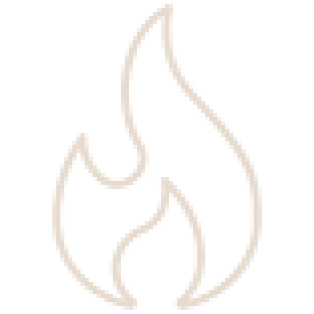 Fire icon