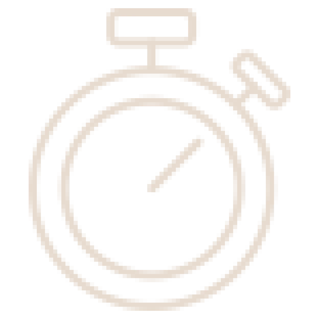 Stopwatch icon
