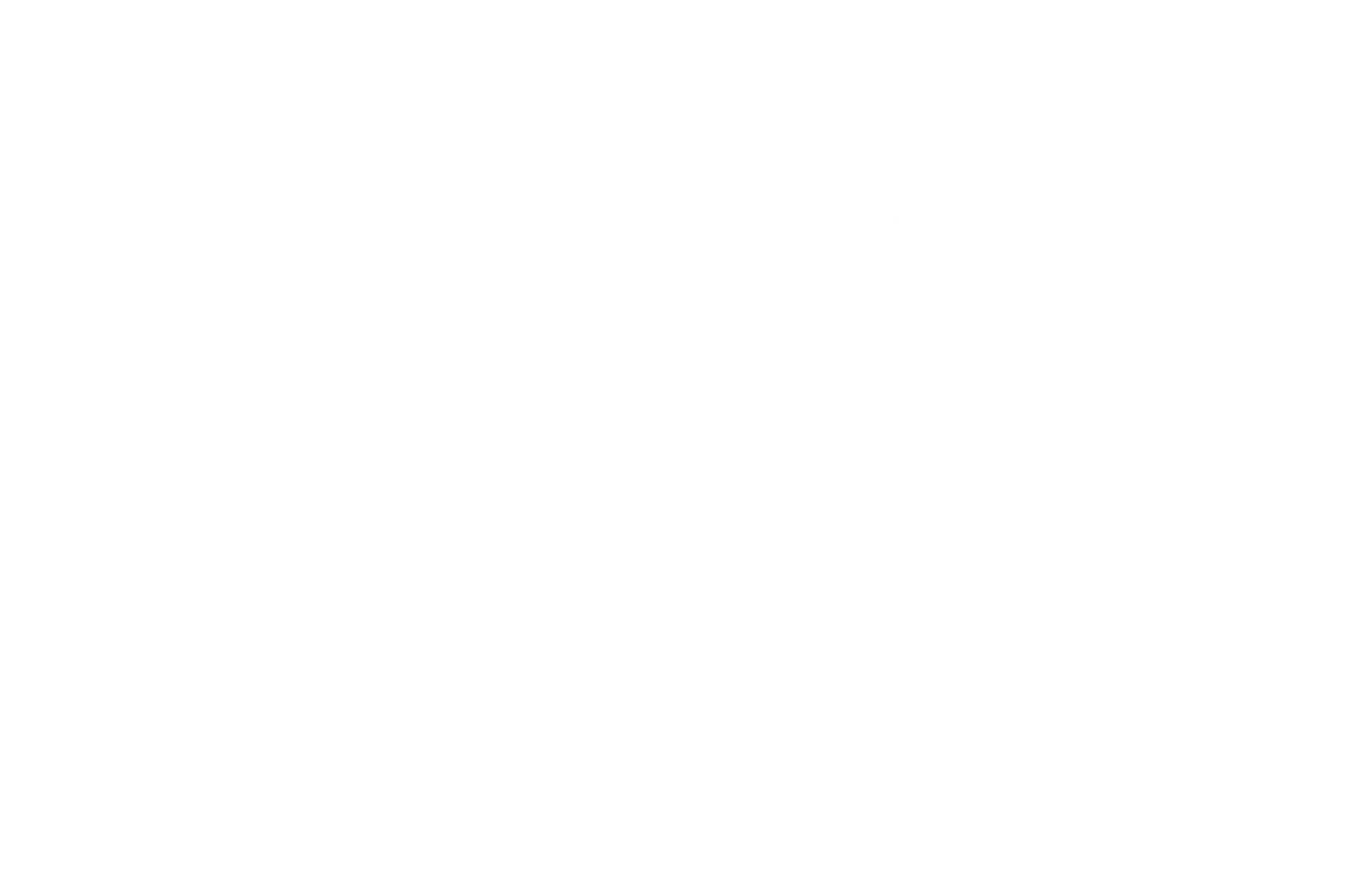 Alfa Forni Logo